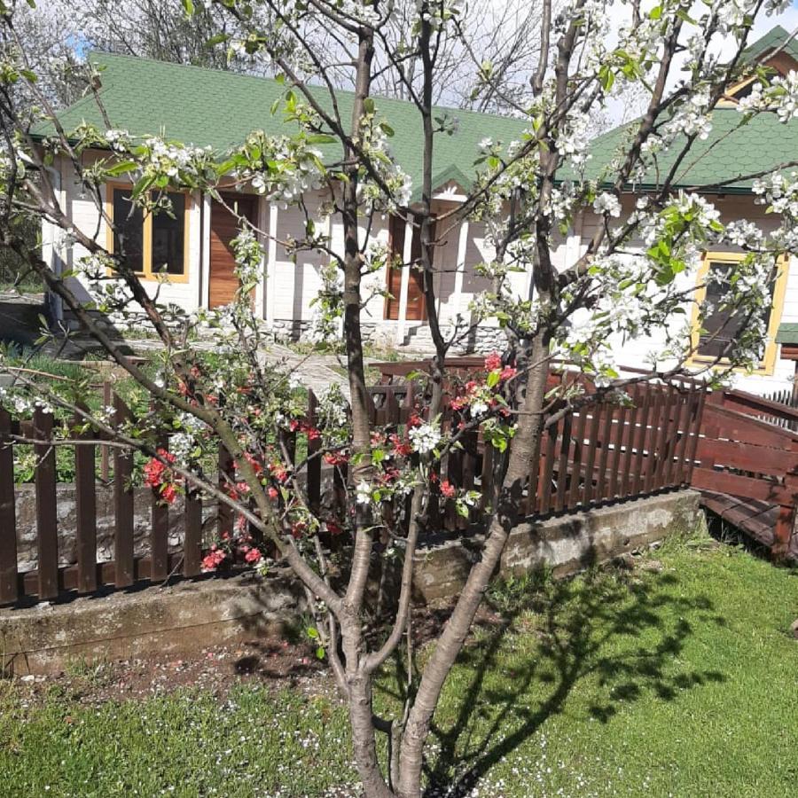 Rooms And Apartmants Mirovic Kolasin Luaran gambar