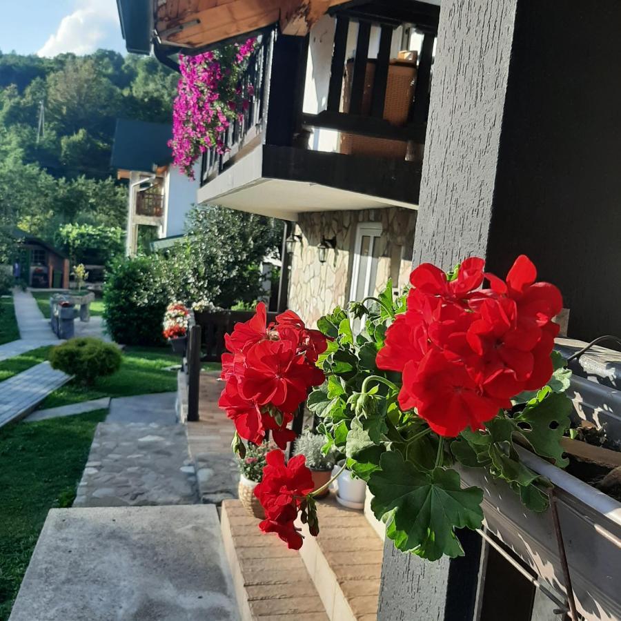 Rooms And Apartmants Mirovic Kolasin Luaran gambar