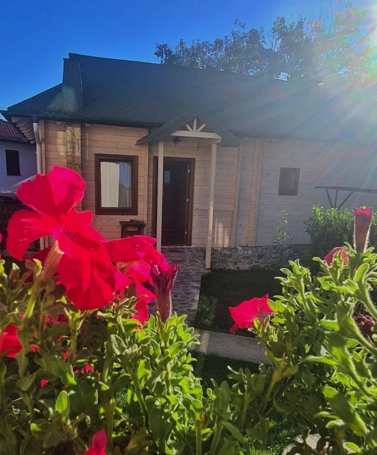 Rooms And Apartmants Mirovic Kolasin Luaran gambar