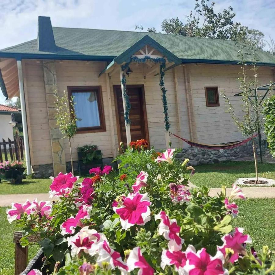 Rooms And Apartmants Mirovic Kolasin Luaran gambar