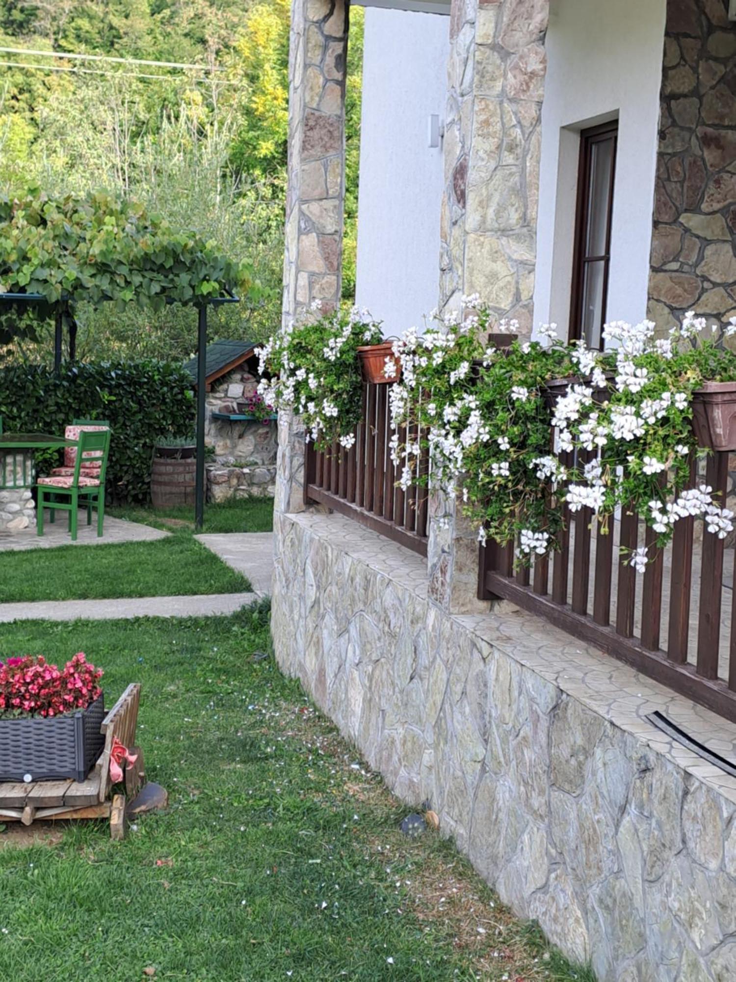 Rooms And Apartmants Mirovic Kolasin Luaran gambar
